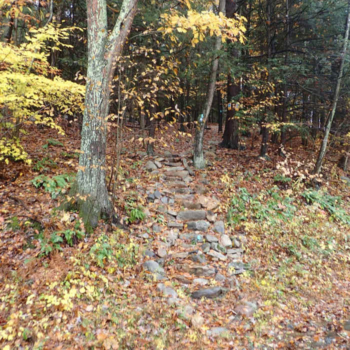 Near Shawangunk Ridge Trail: Gobblers Knob Section Near Shawangunk Ridge Trail: Gobblers Knob Section