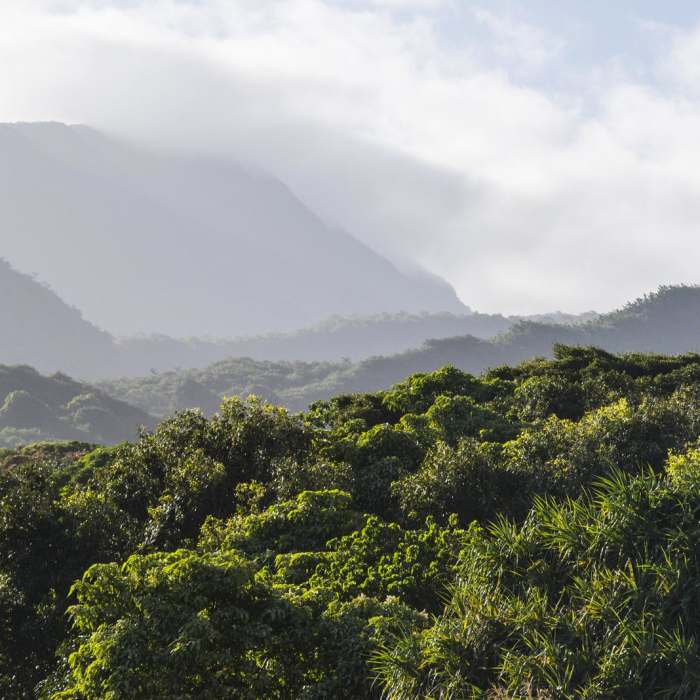 Near Kuloa Point Near Kuloa Point