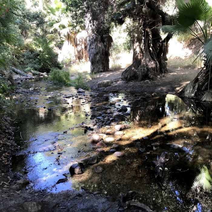 Near Michael D. Antonovich Trail