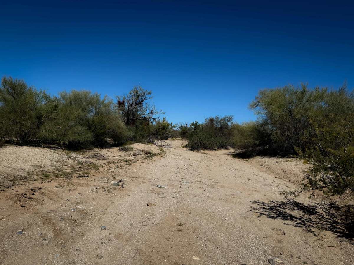 Lower Brady Wash photo 2