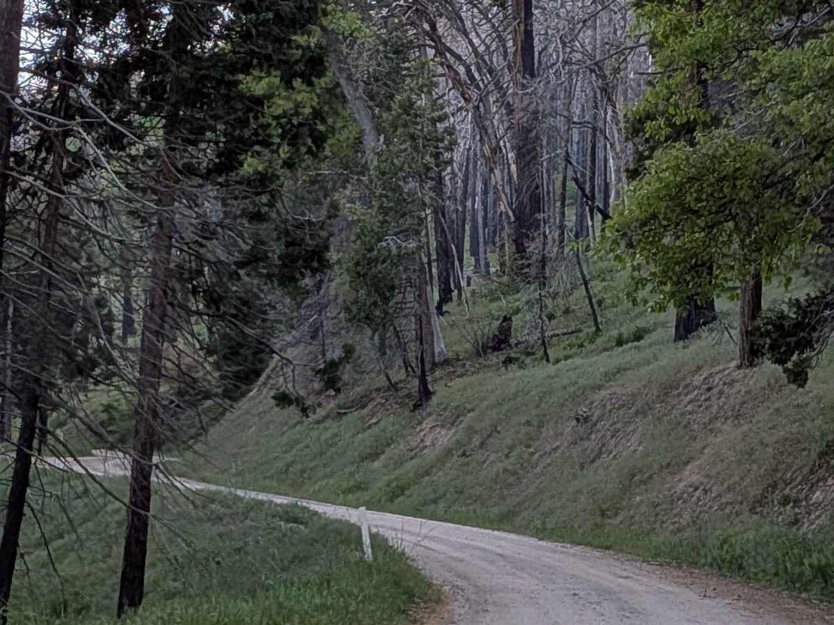 Rancheria Road North - FS 25S15 photo 2