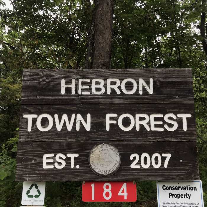 Near Bald Knob Trail