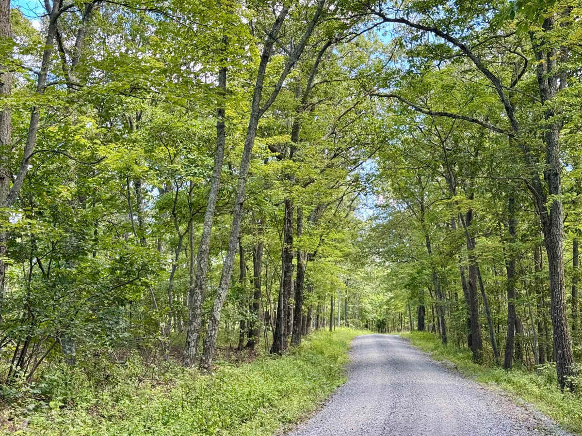 Summit Road photo 4