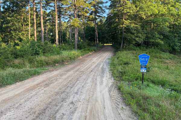 County Road 5419