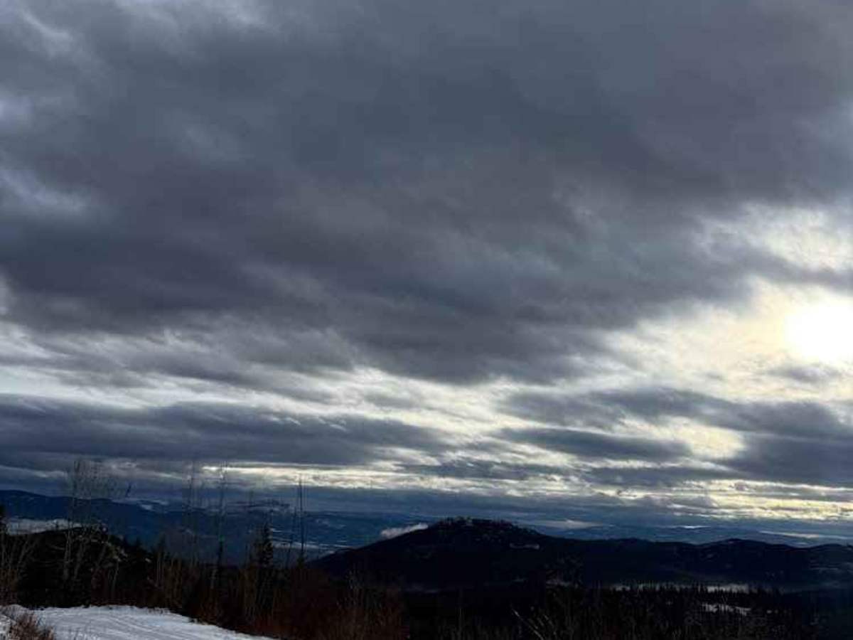 McGillvery Out Post photo 5