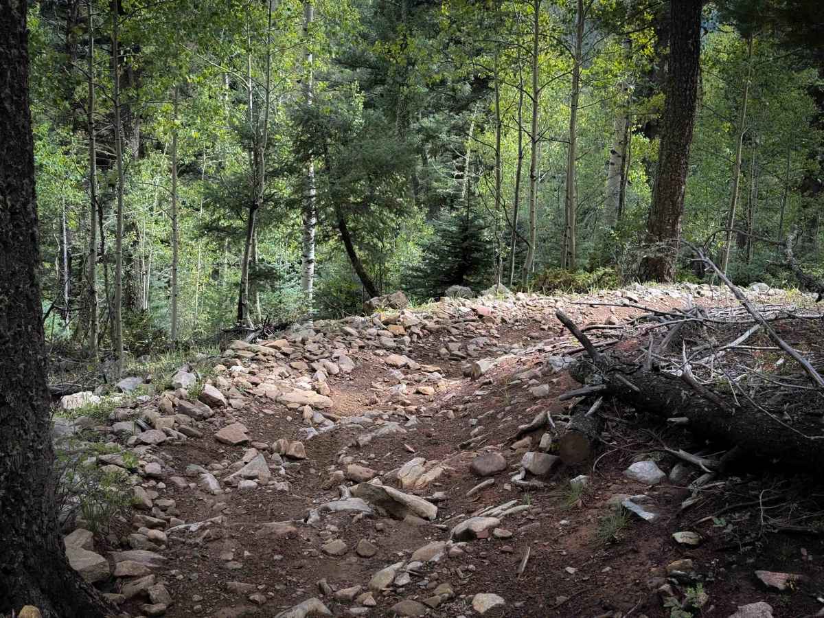 La Cueva Trail - FS 8  photo 5