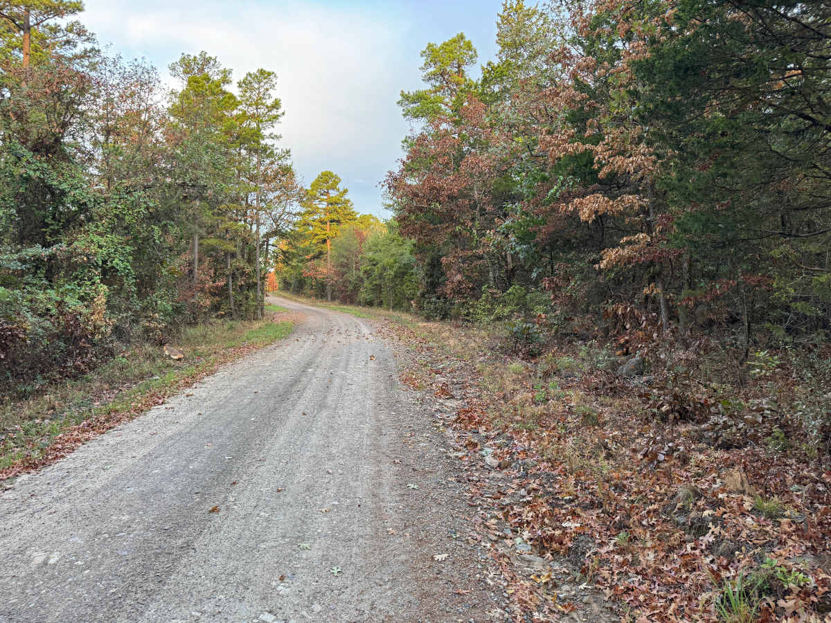 Mount Salem Road photo 3