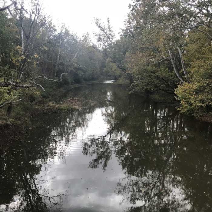 Near Prairie Oaks Loop