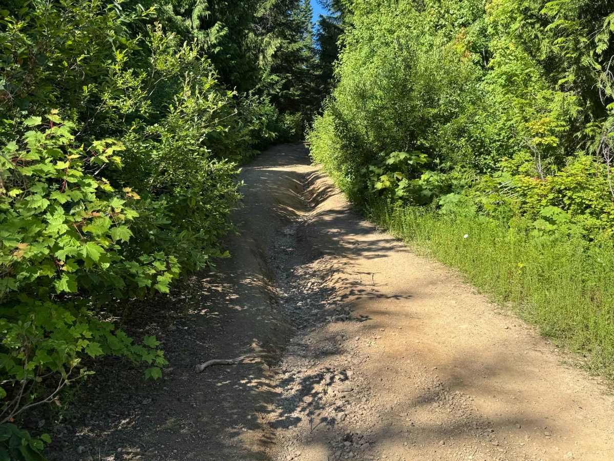 Bumblebee Peak trail photo