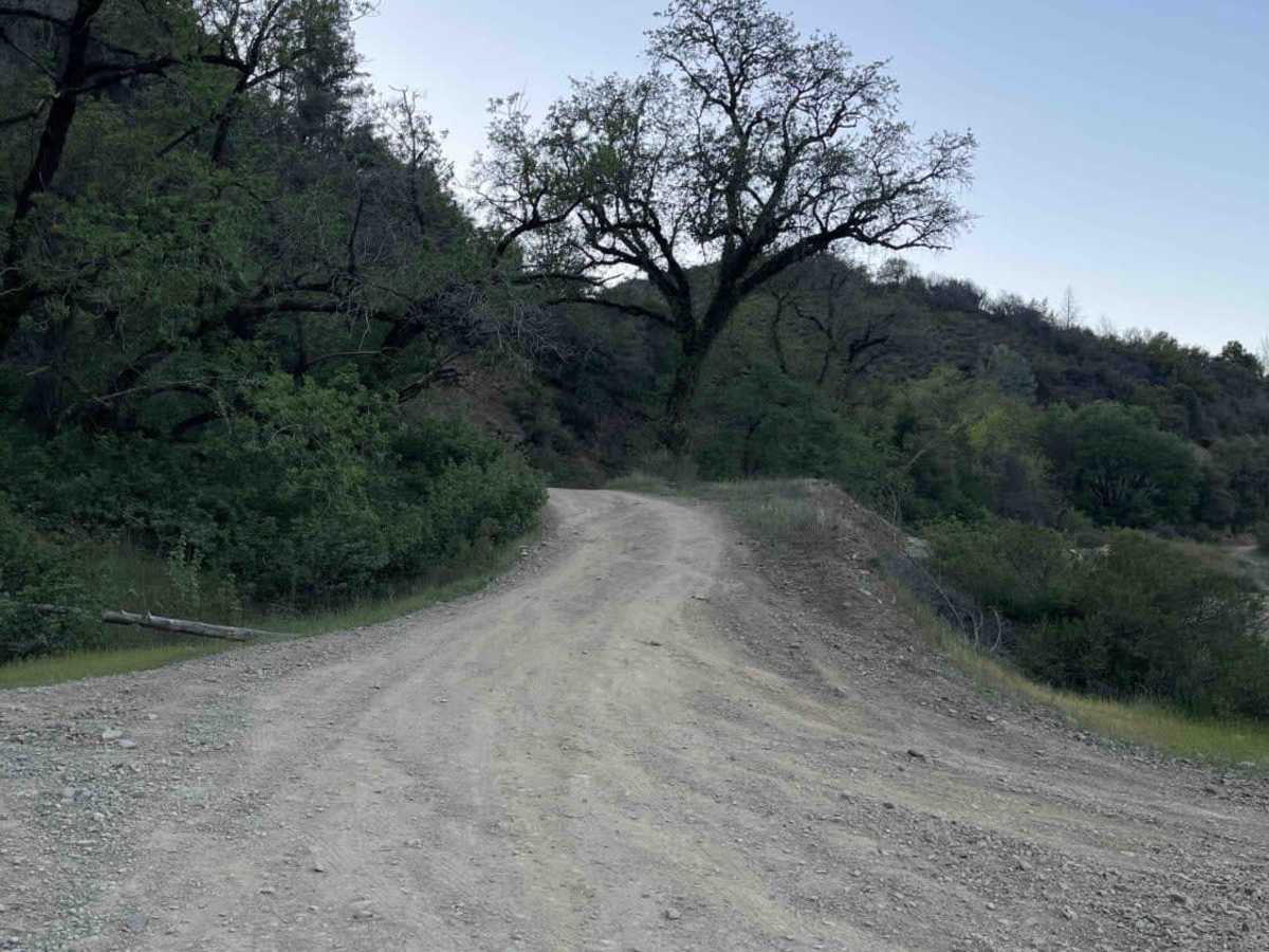 Mendo-Lake Road photo 2