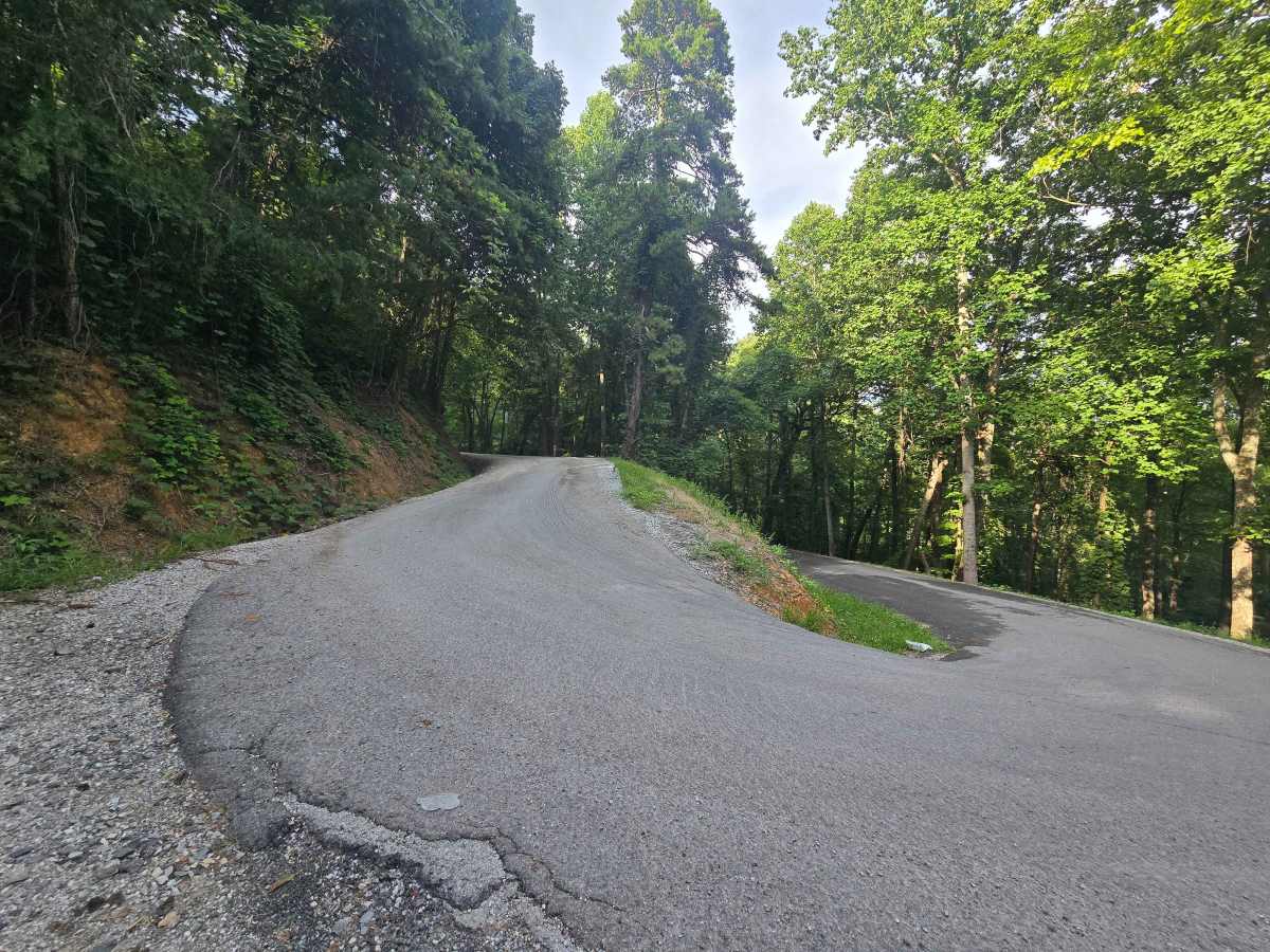 Walden Ridge Road photo 5