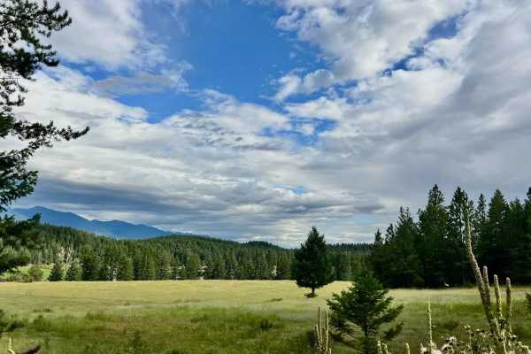 Kikomun Creek Loop