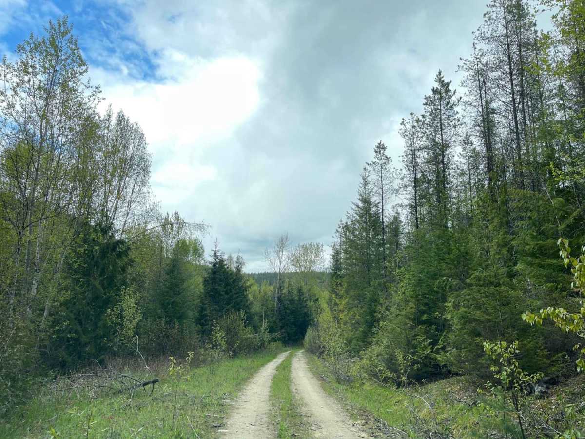 Sunshyne Road trail photo