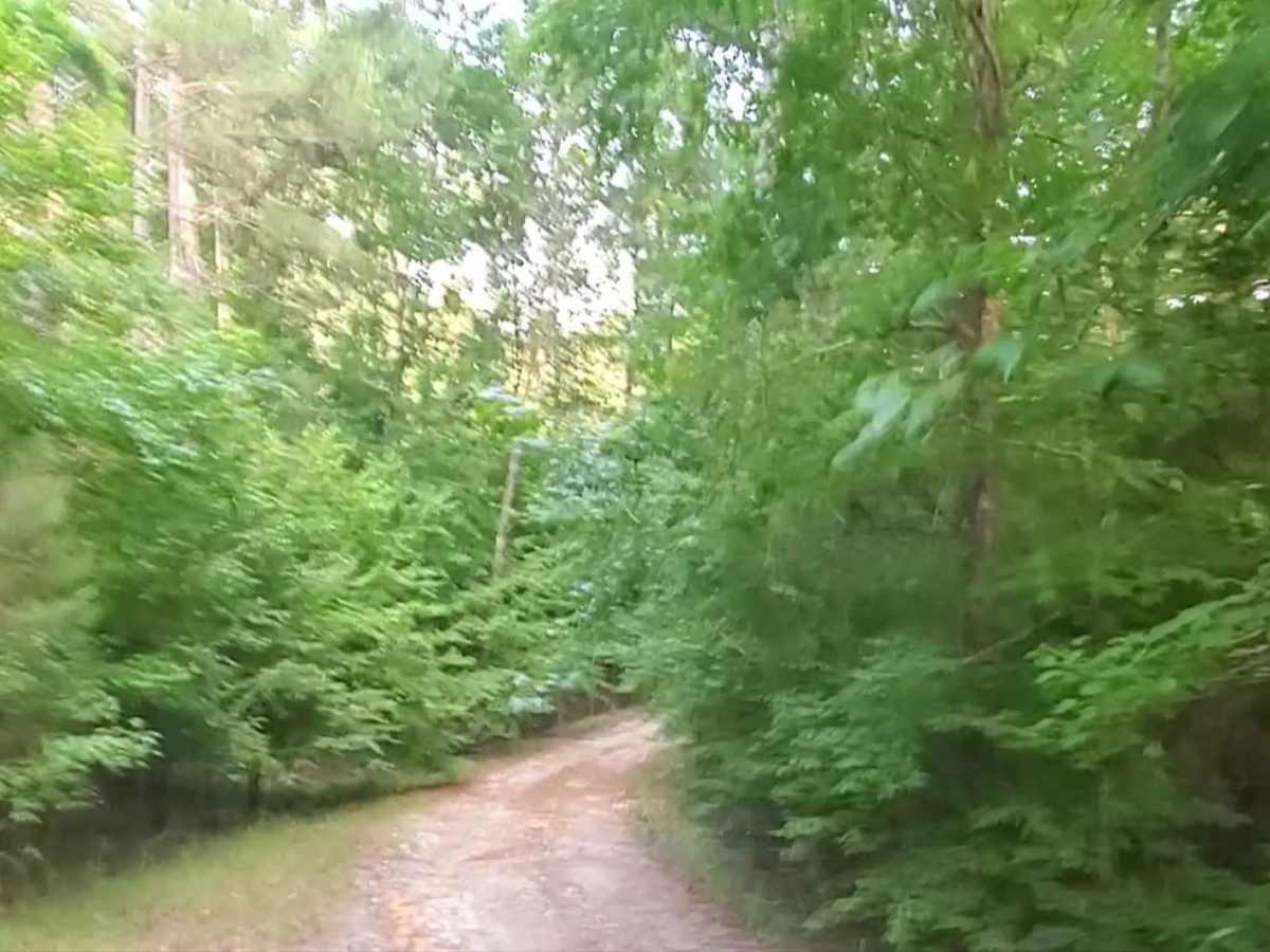 Lick Fork Road photo 5