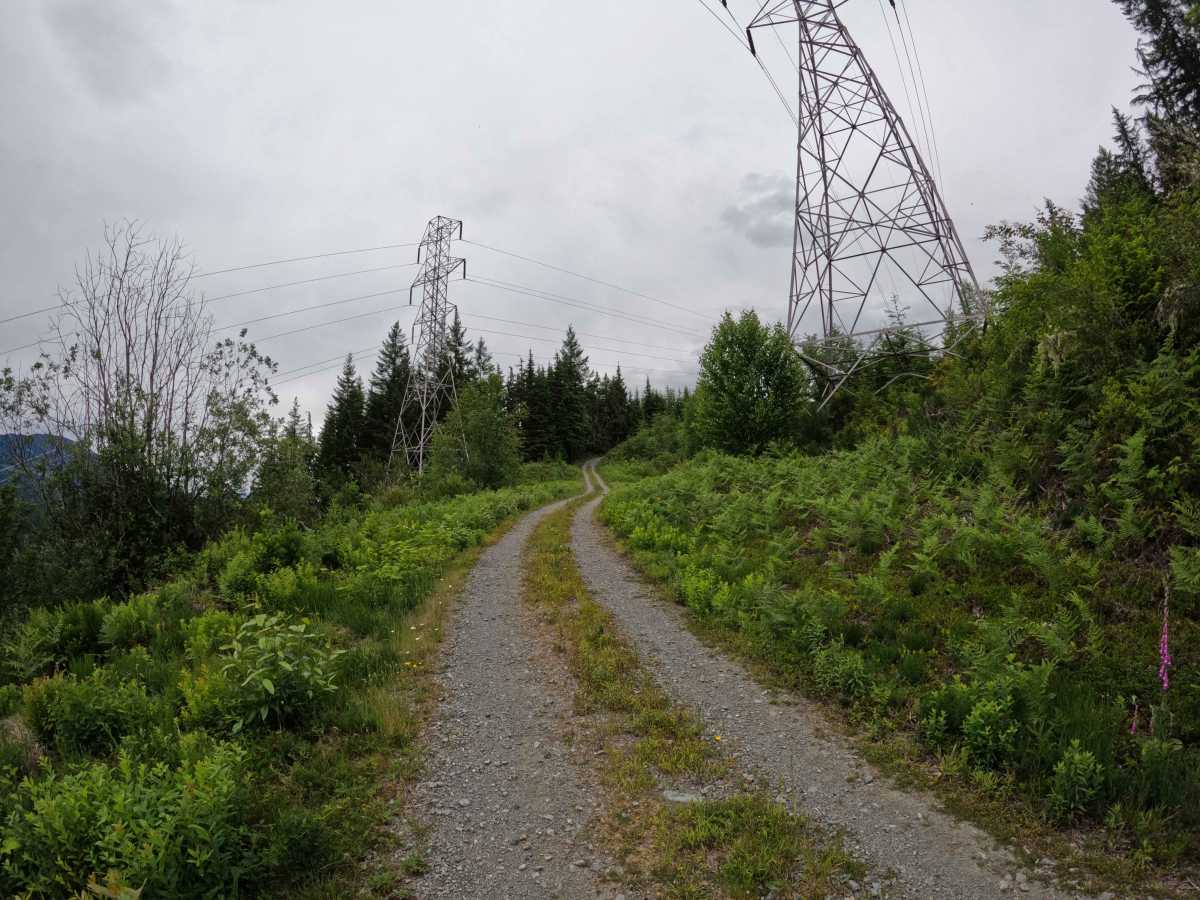 Illabot Powerline Road photo 4