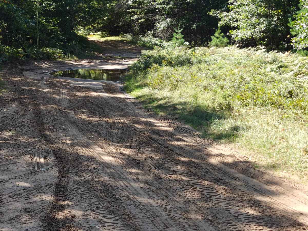 Townline Creek Trail photo 4