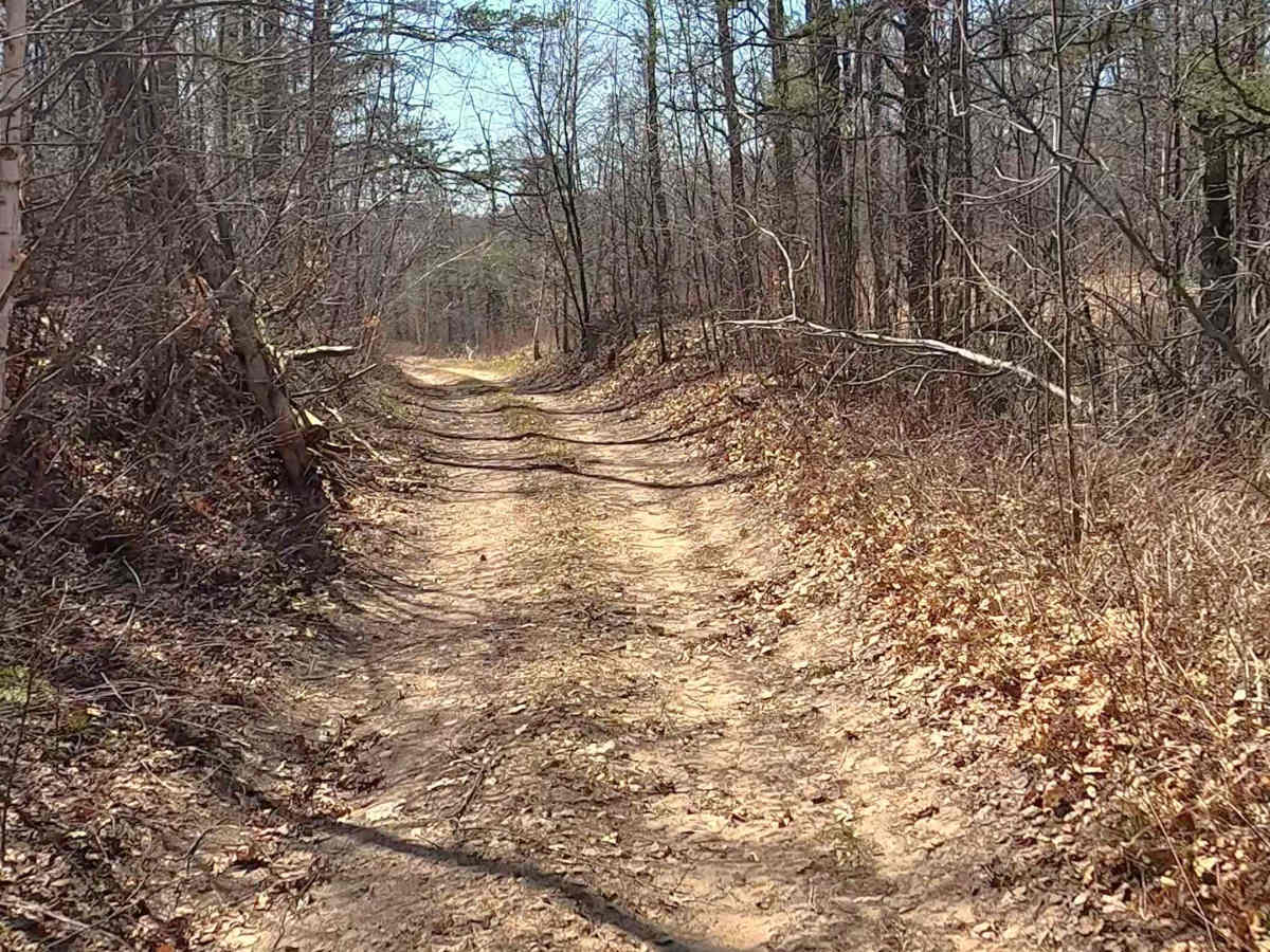 FS 4174 trail photo