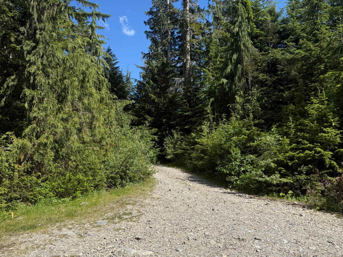 Deer Creek trail photo