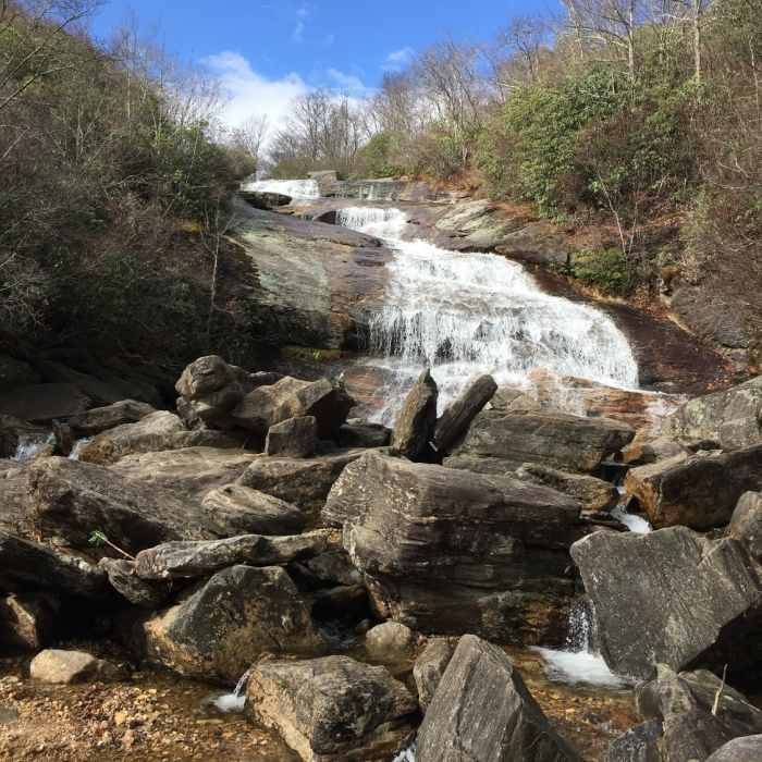 Near Graveyard Fields Trail #358