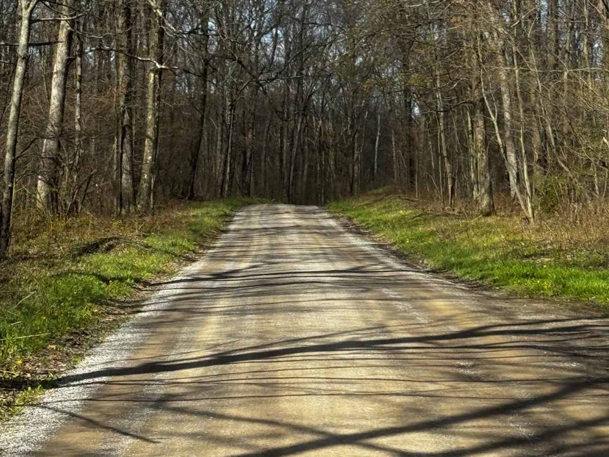 Dubeck Road photo 6