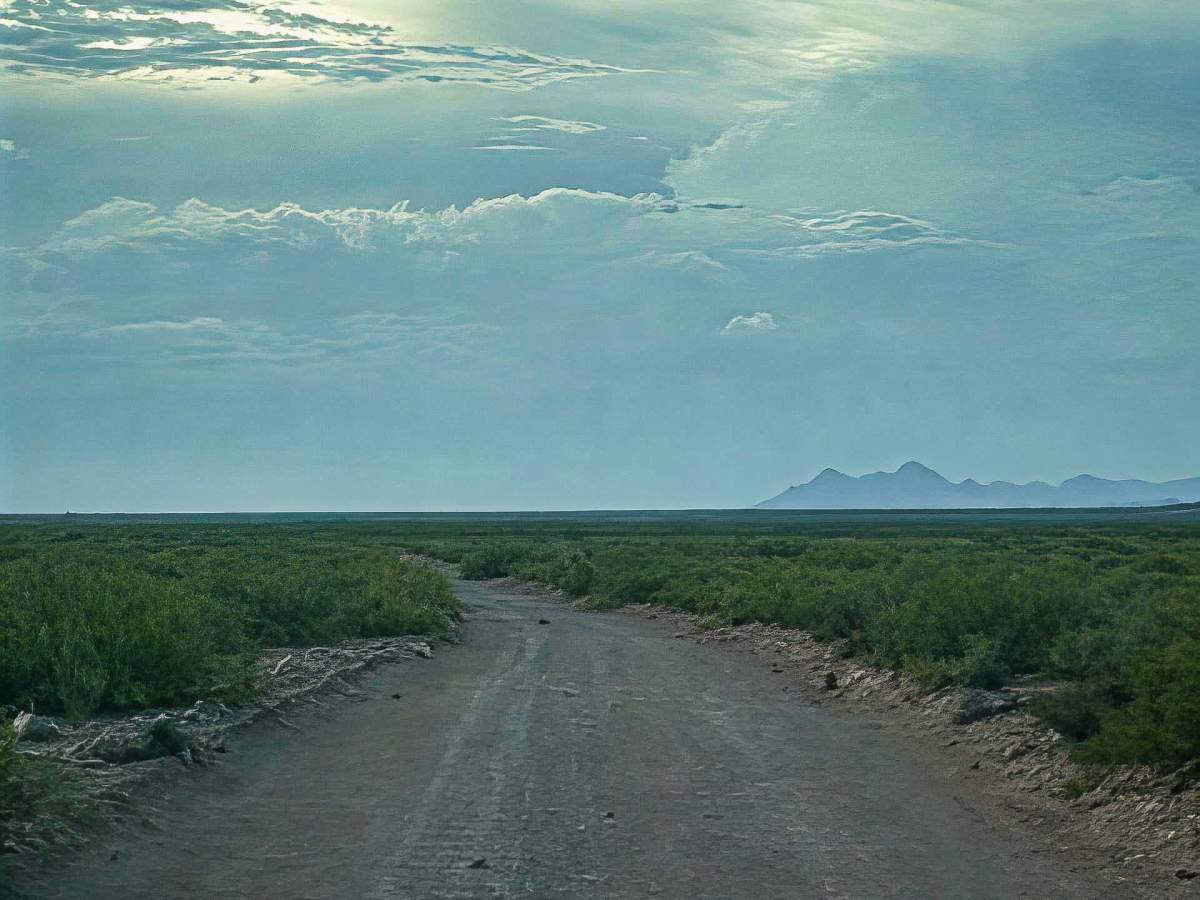 Ss1127 photo 6