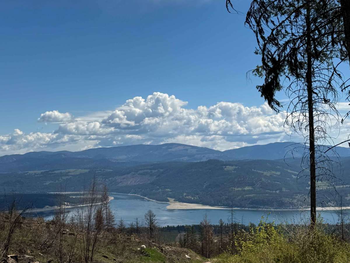 Nancy Creek Road trail photo