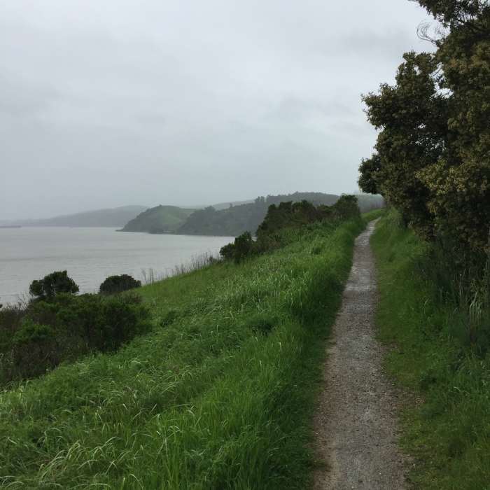Heading out on the Benicia Bay Trail toward Dillon Point, enjoy pleasant coastal views. Near Benicia Bay Trail