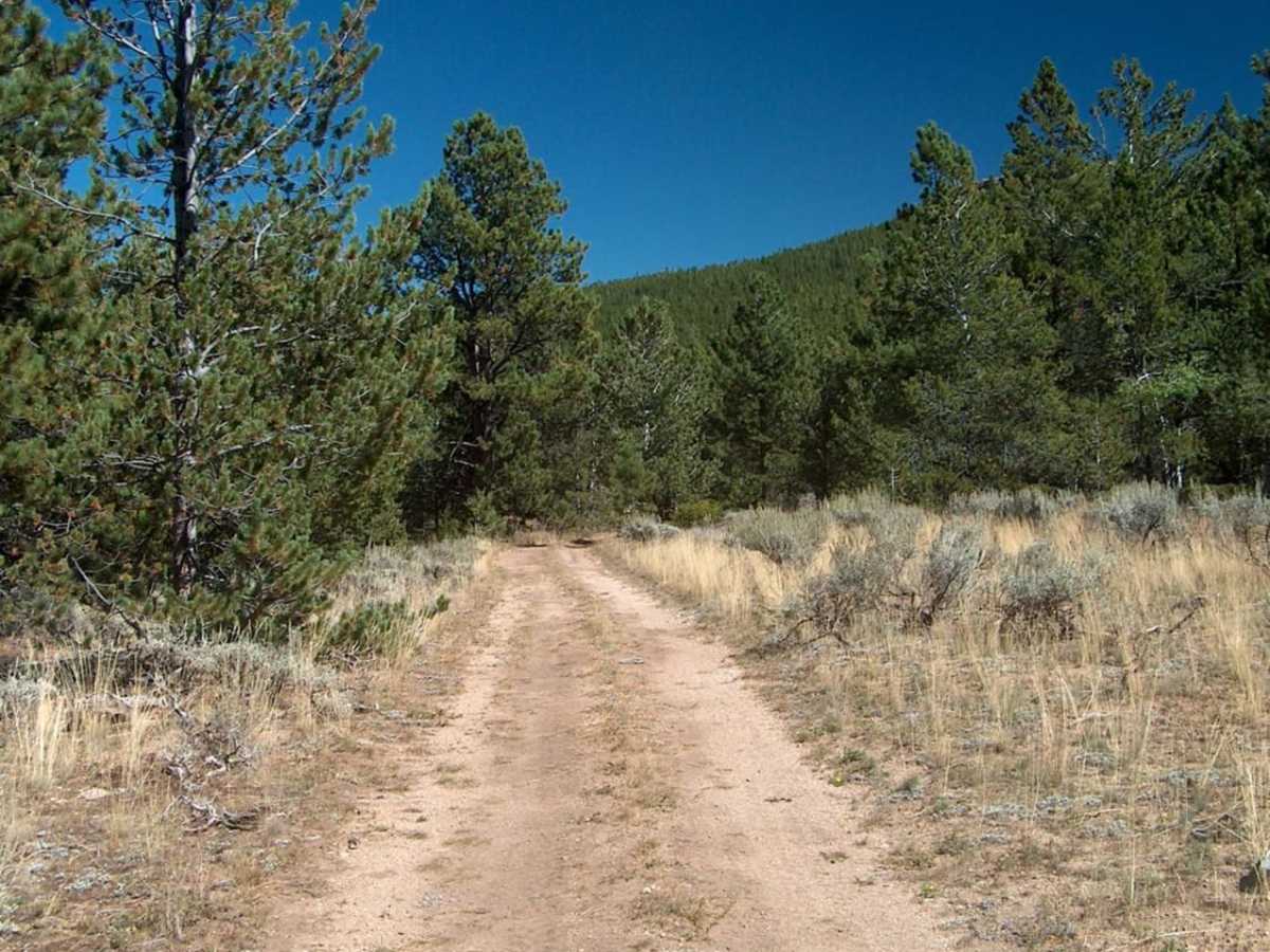Big Bear Canyon/Devils Pass photo 5