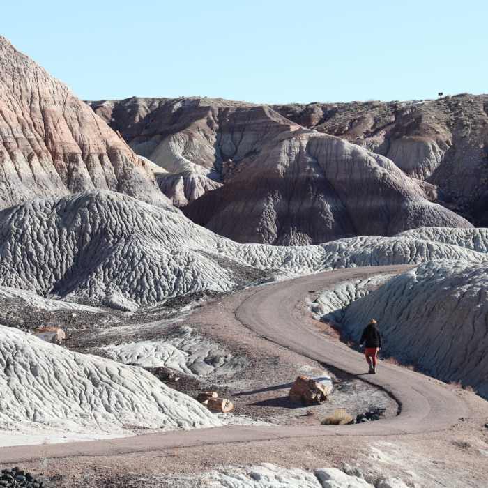 Marlena walking on Blue Mesa Trail loop Near Blue Mesa Trail