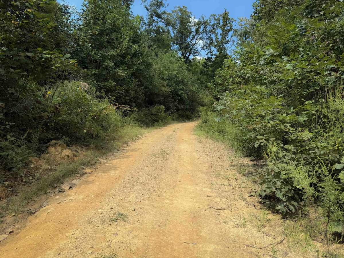 Broyles Branch Trail 17  photo 6