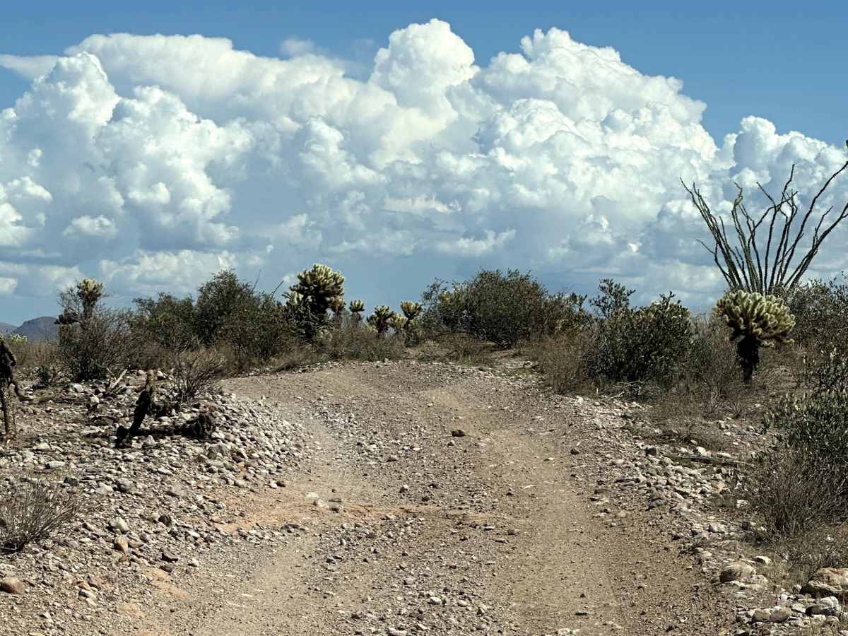 AR-LO Trail photo 3