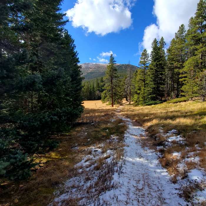 Near Estes Cone Trail