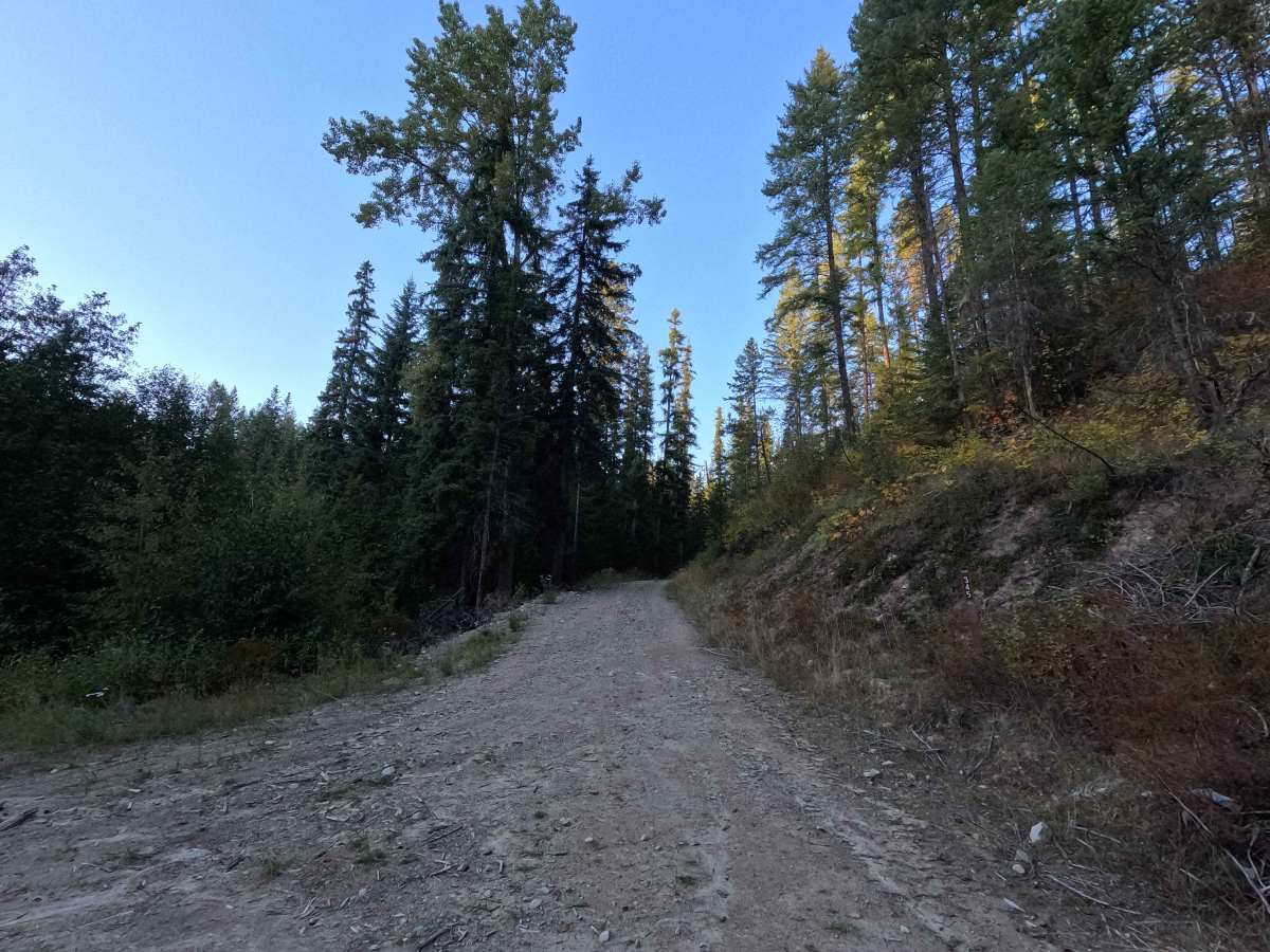 Hidden Meadows - FS 9545345 trail photo
