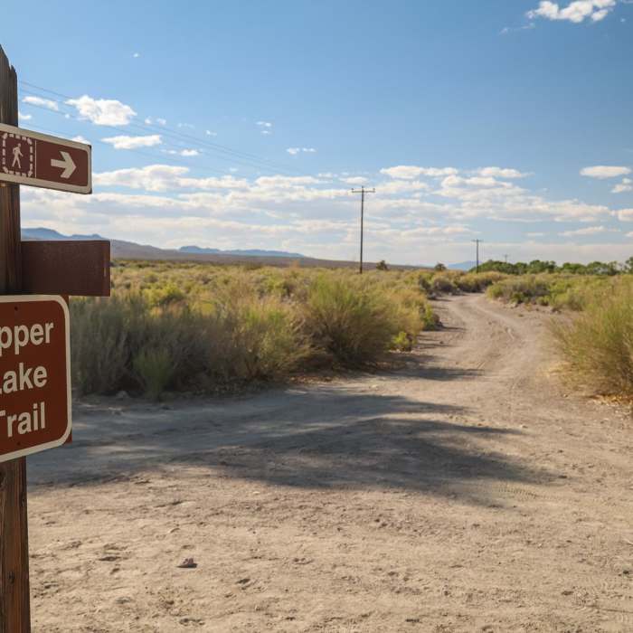 Near Upper Lake Trail Near Upper Lake Trail