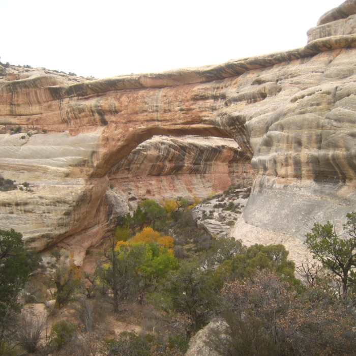 Near Kachina Bridge Trail
