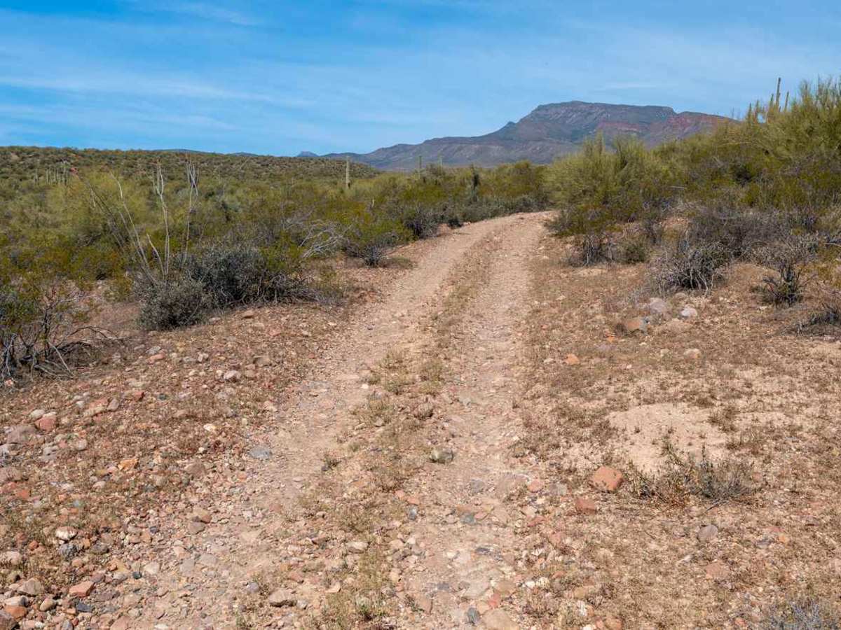 Parker Creek - FS 243/3294 photo 2