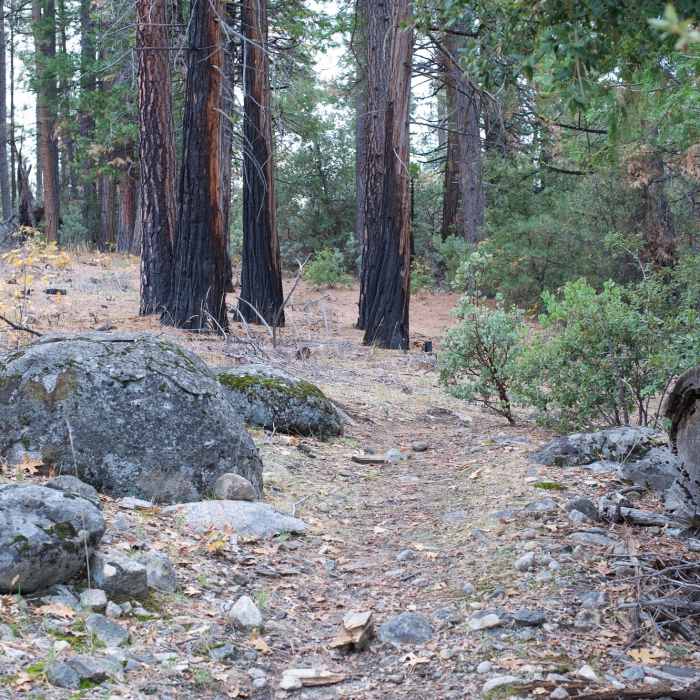 Near Lookout Point Trail