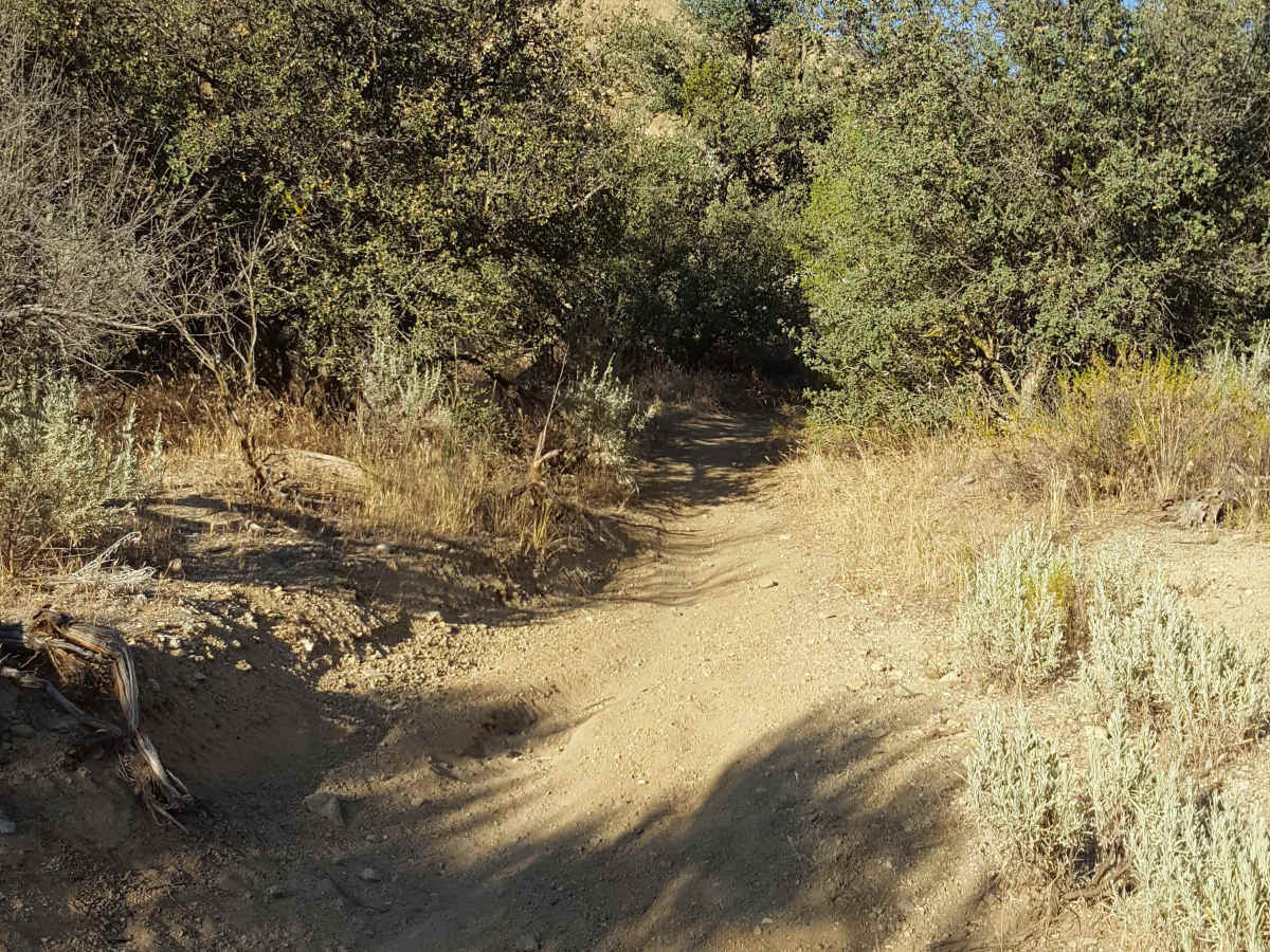 Trail 23 photo 2