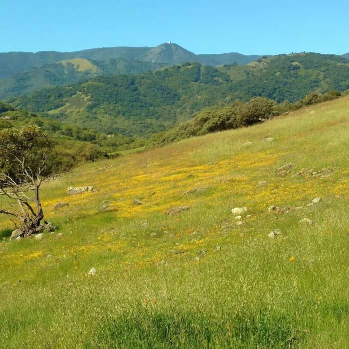 Near Vista del Oro Trail