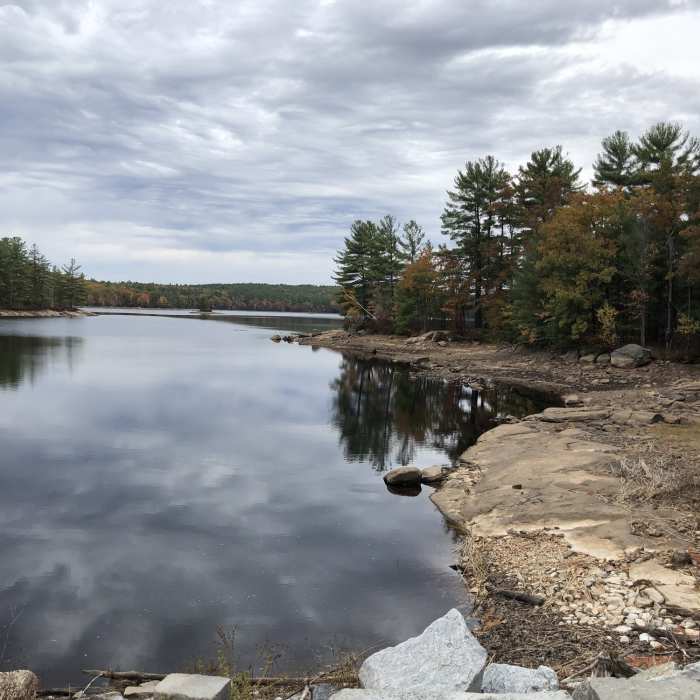 Near Tower Hill Pond Loop Trail