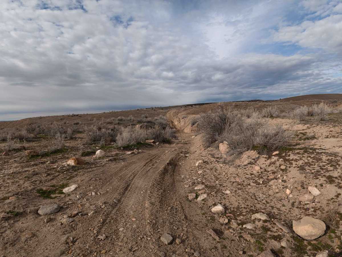 BLM 131 photo 4