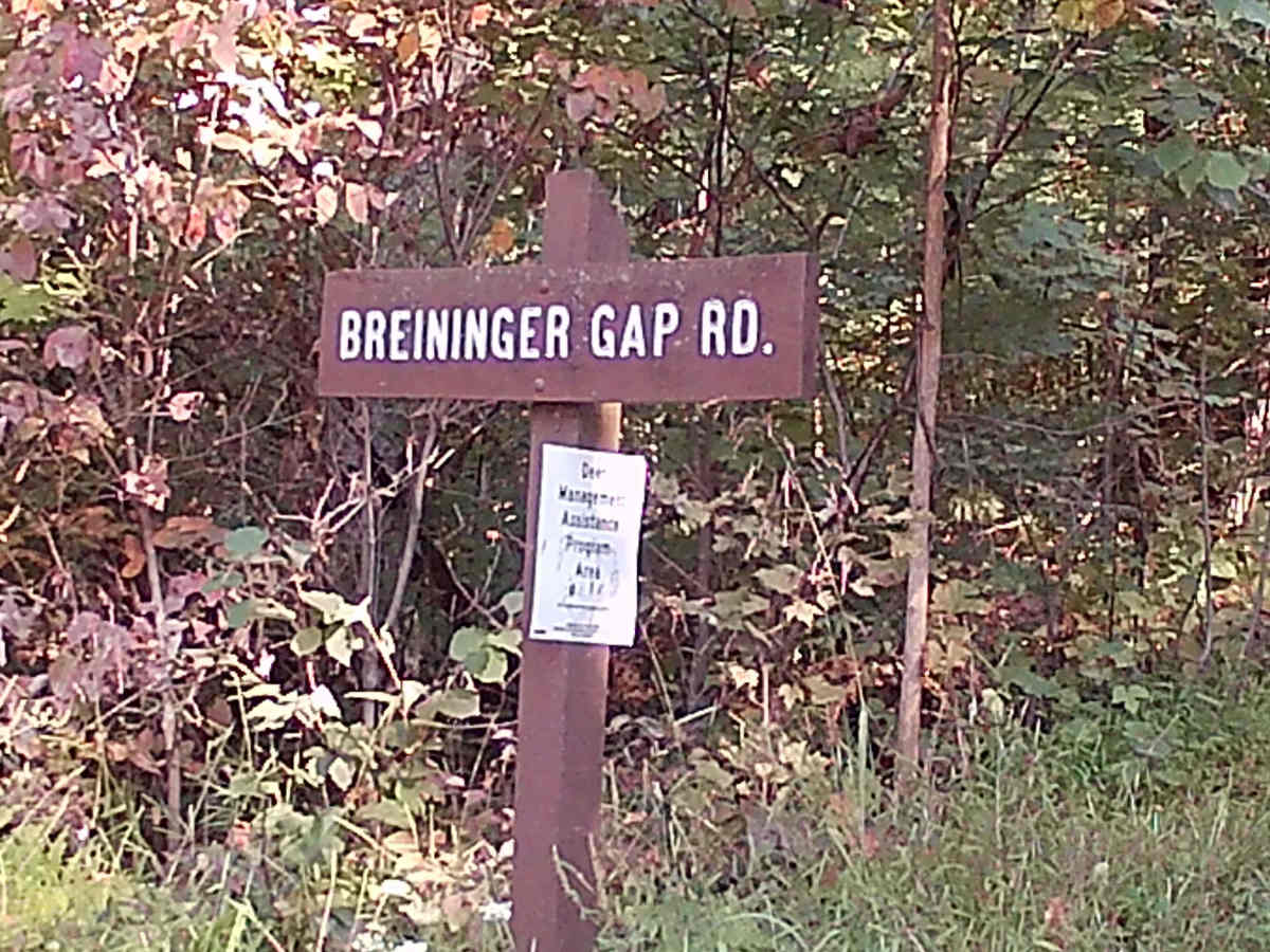 Breininger Gap Road photo 2
