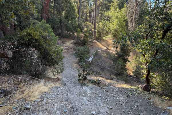 Trail 3 ATV (11E18) 
