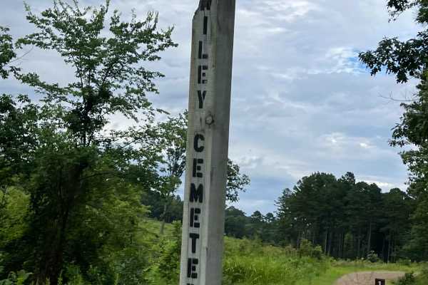 Wiley Trail