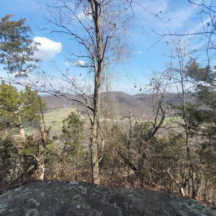 Near West Pinnacle Trail