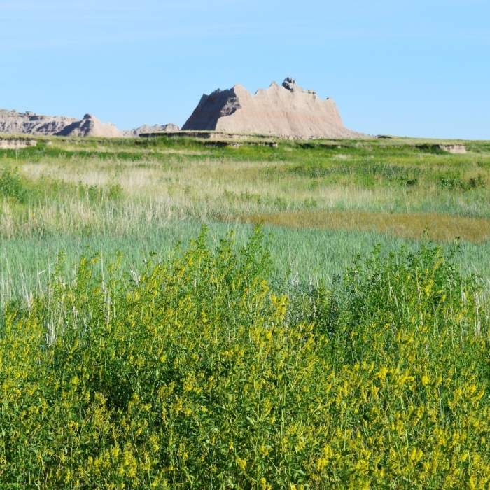 Medicine Root Trail - Badlands, SD. Near Medicine Root Loop