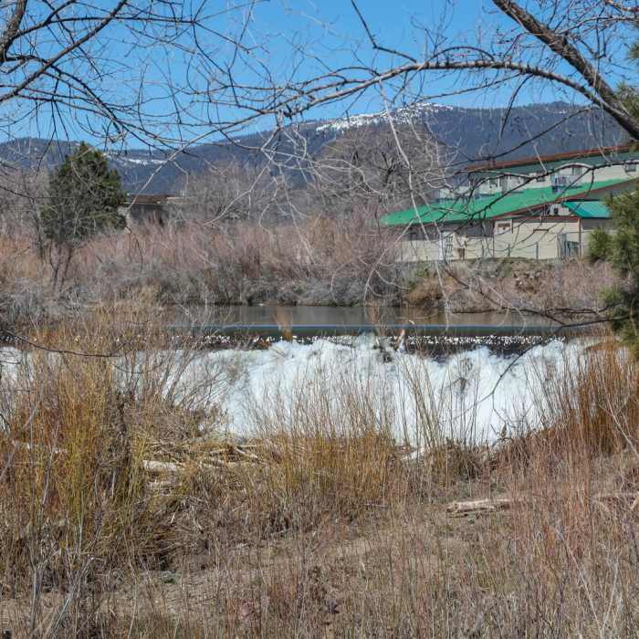 Near Susan River Trail