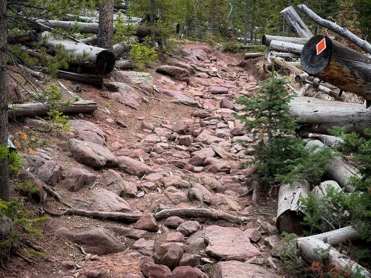 Uinta Highline #025  trail photo