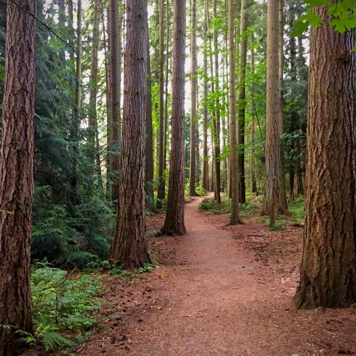 Near Jackson Park Trail