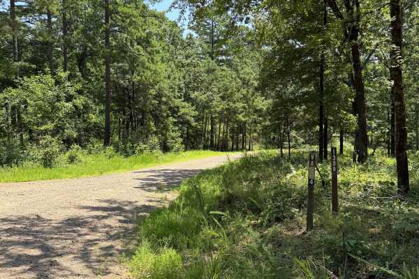 West Fork Scenic Drive